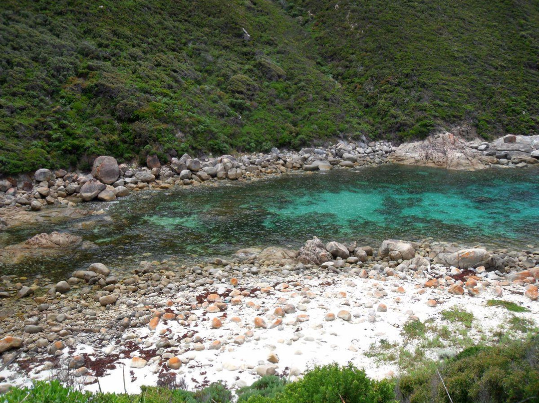 Jimmy Newells Harbour-奥尔巴尼必去景点