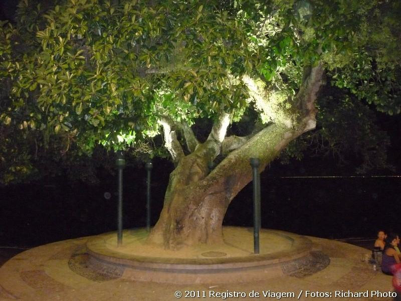 Praça São Pedro景点图片