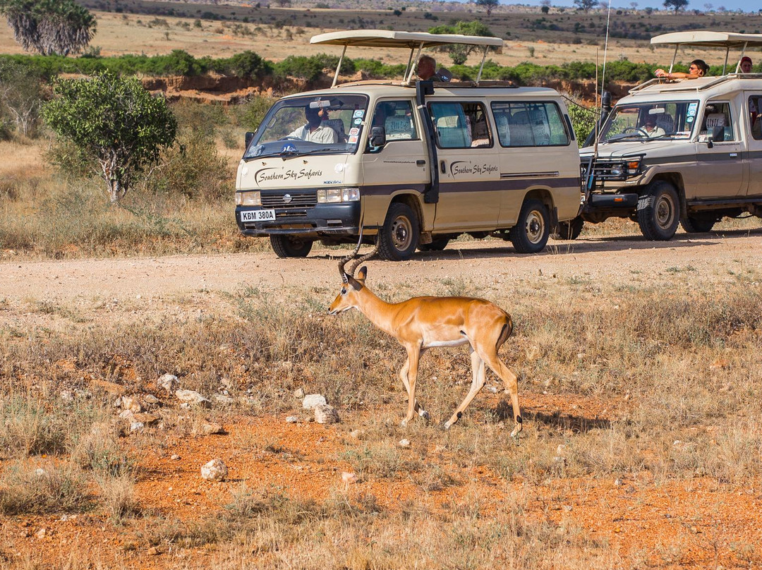 Southern Sky Safaris-马林地必去景点