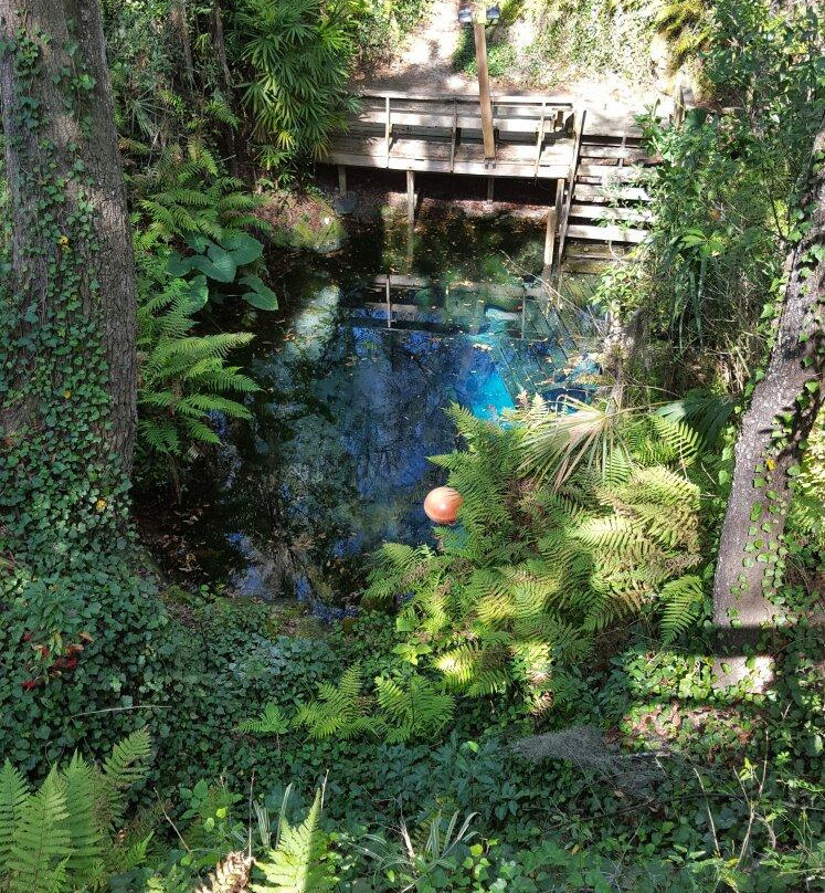 Paradise Springs-奥卡拉必去景点