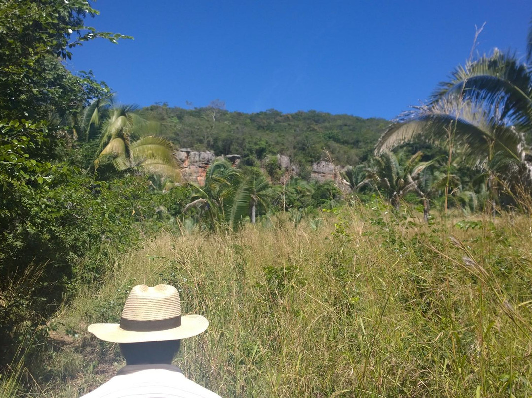 Museu Benedito José Teles-Crato必去景点