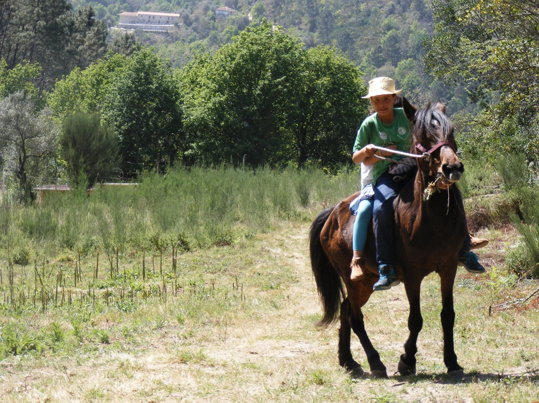 Cabril Eco Rural景点图片