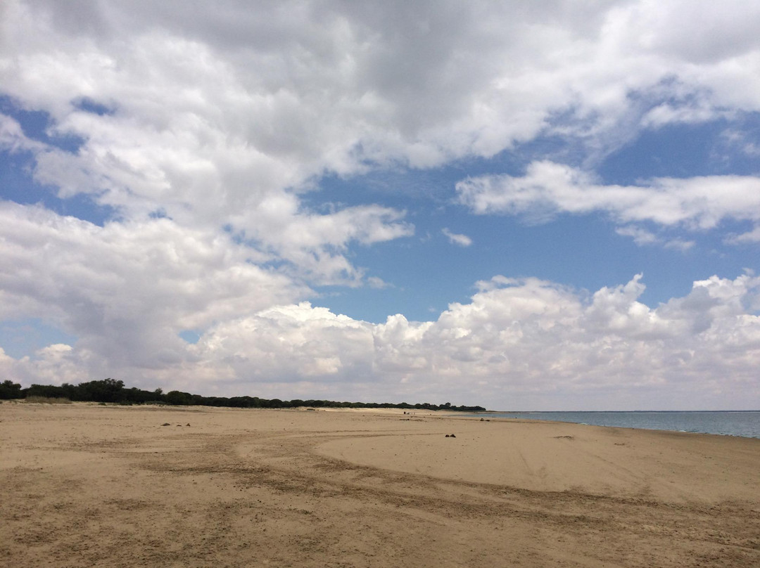 Sandveld Nature Reserve-Bloemhof必去景点