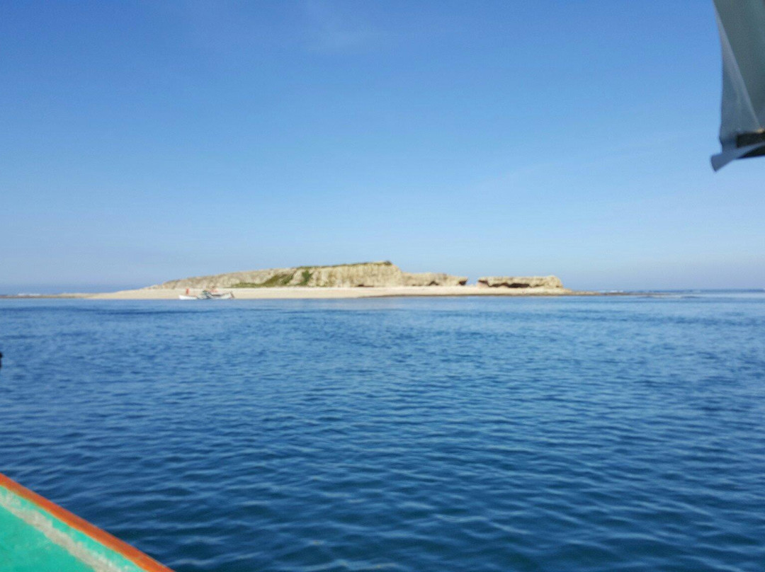 Crocodile Island-Santa Ana必去景点