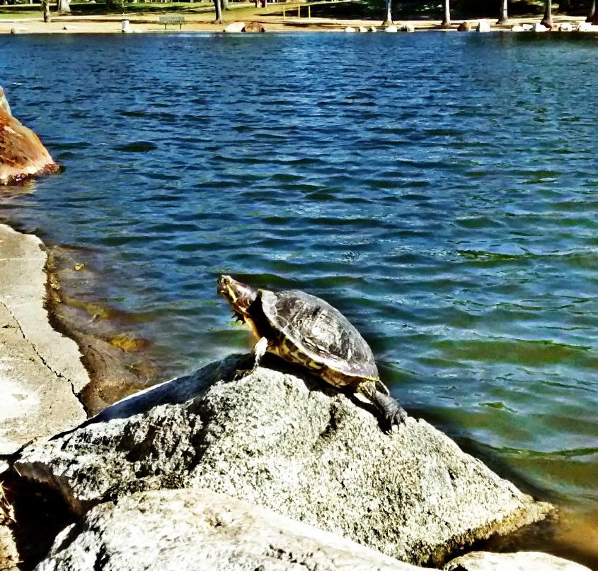 Mile Square Regional Park-芳泉谷必去景点