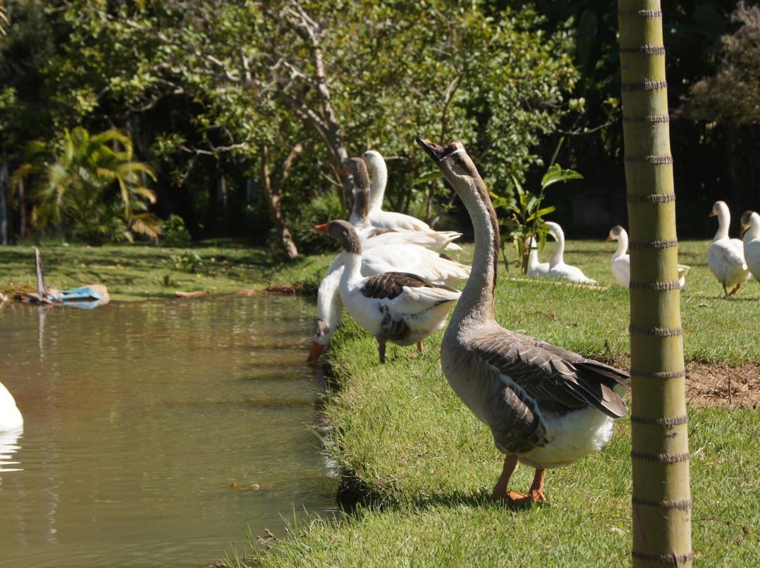 法申达皮多莫洛酒店主图