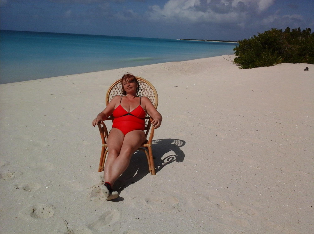 17-Mile Beach-巴布达必去景点