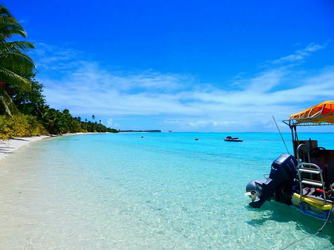 Island Explorer Holidays - Private Day Tours-West Island必去景点