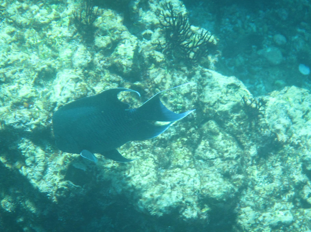 Punta Mita Charters-蓬塔米塔必去景点