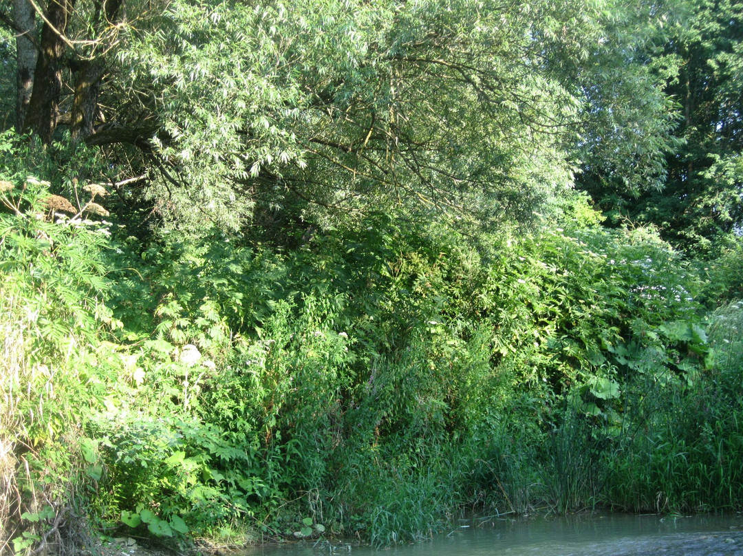 Dry Lake-Bolshoye Goloustnoye必去景点