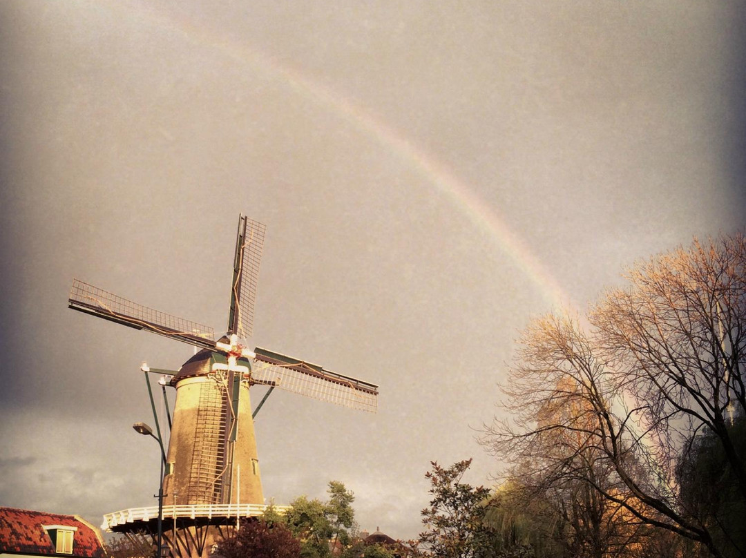 Korenmolen De Windotter-IJsselstein必去景点