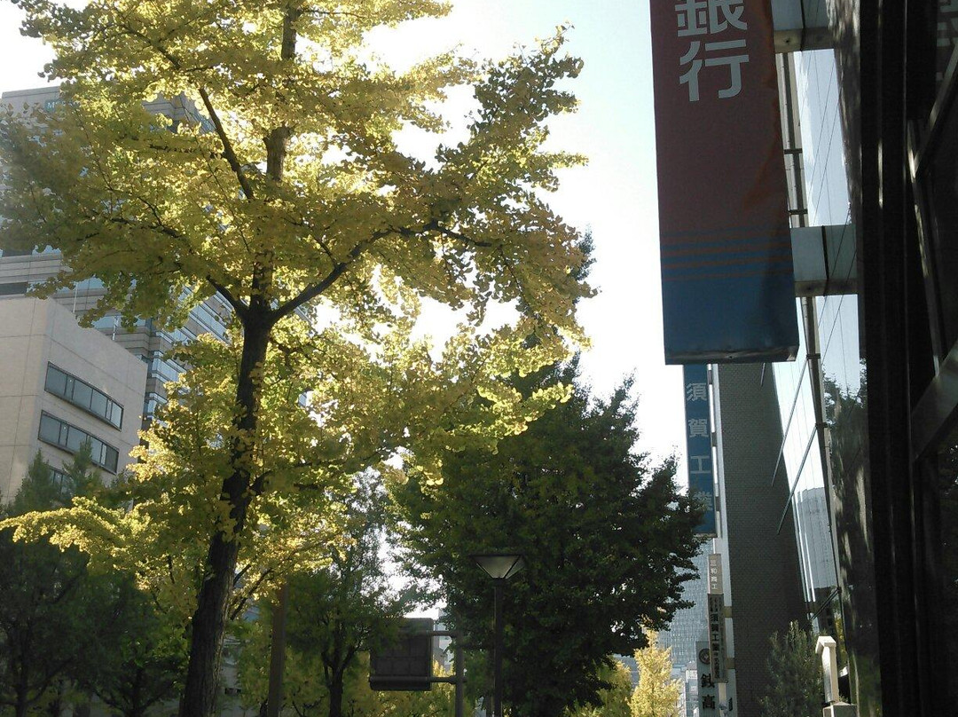 Sakura Avenue Lined with Ginkgo Tree-Naka必去景点