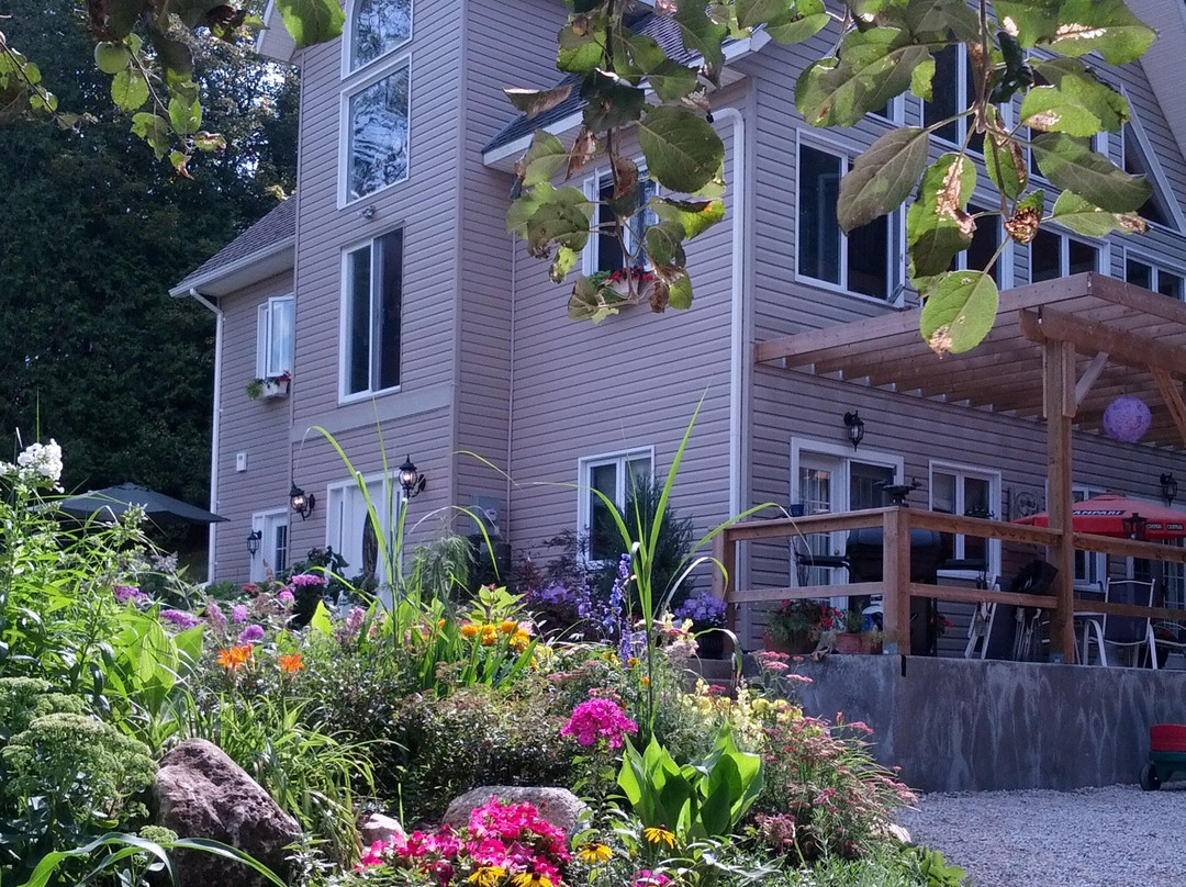 The Guest House at Eugenia Falls