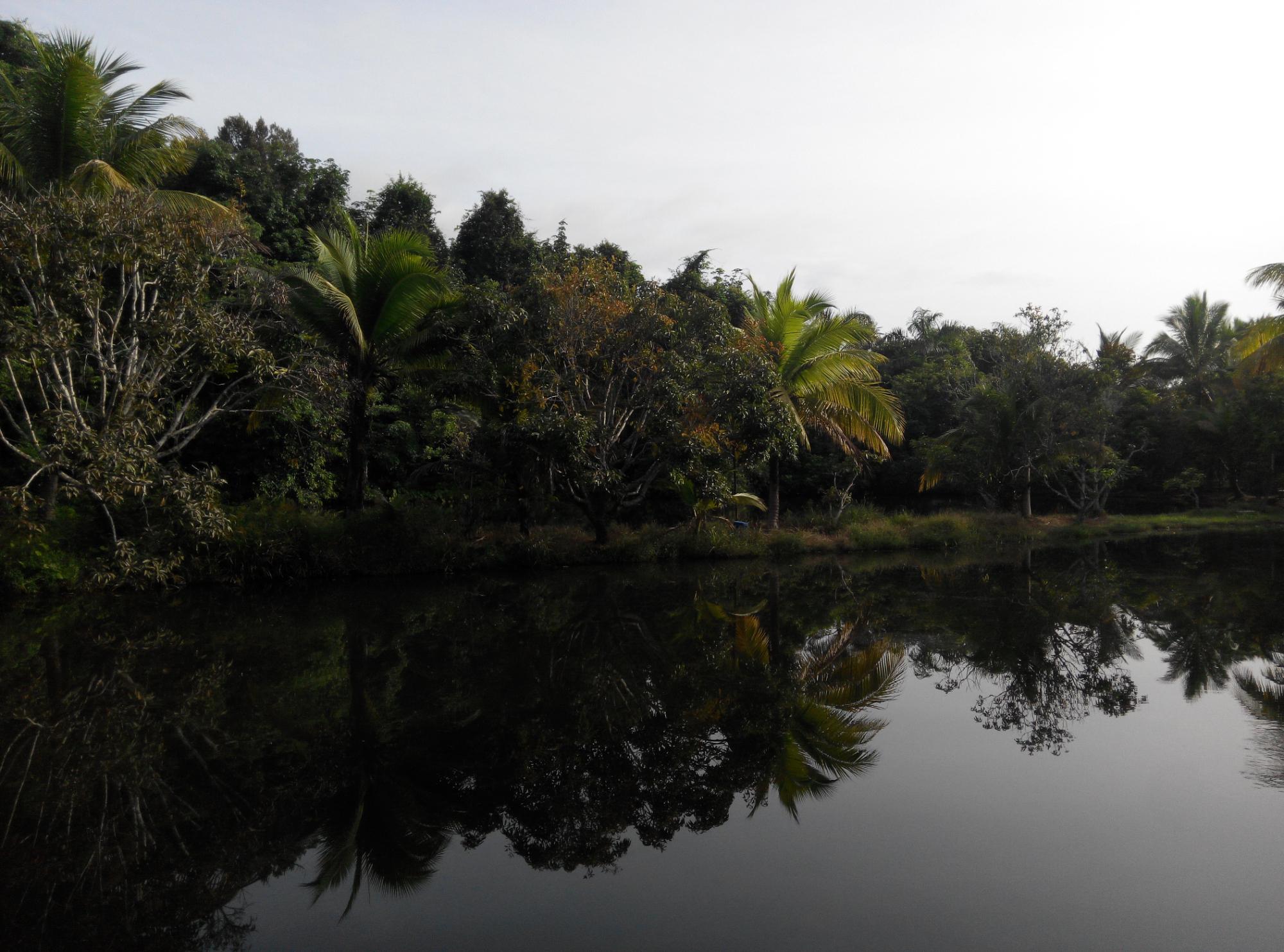 Dusun Resort-浴室