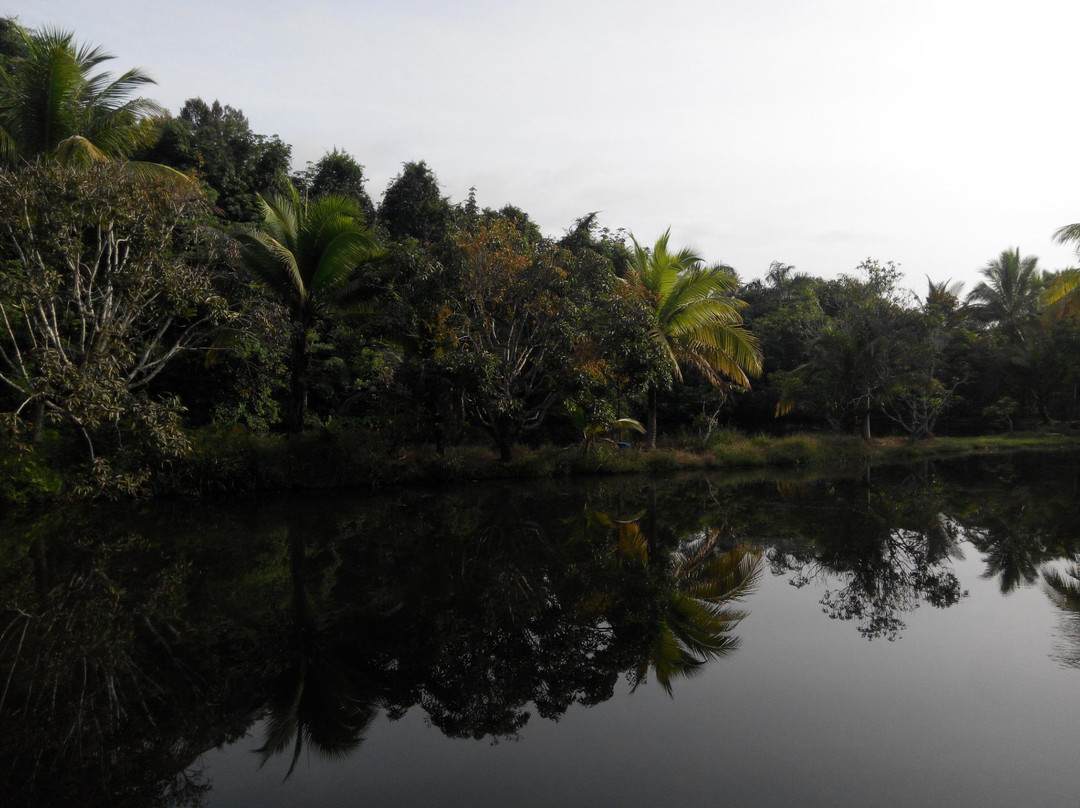 Dusun Resort主图