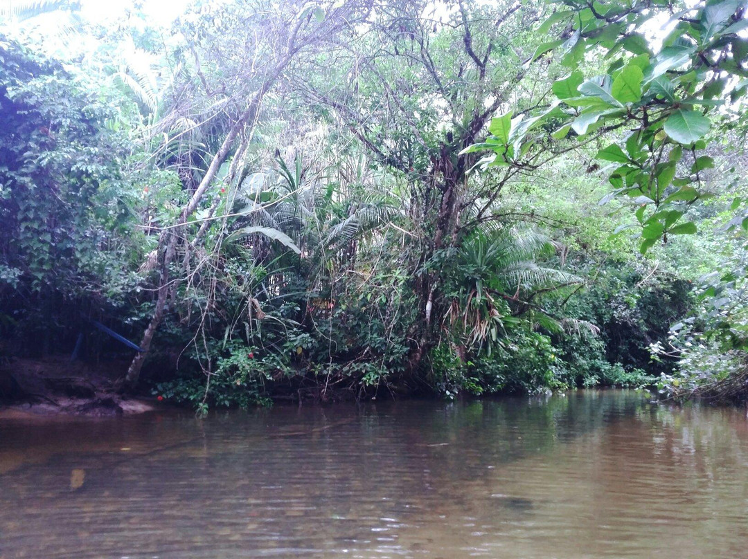 Felix Beach-乌巴图巴必去景点