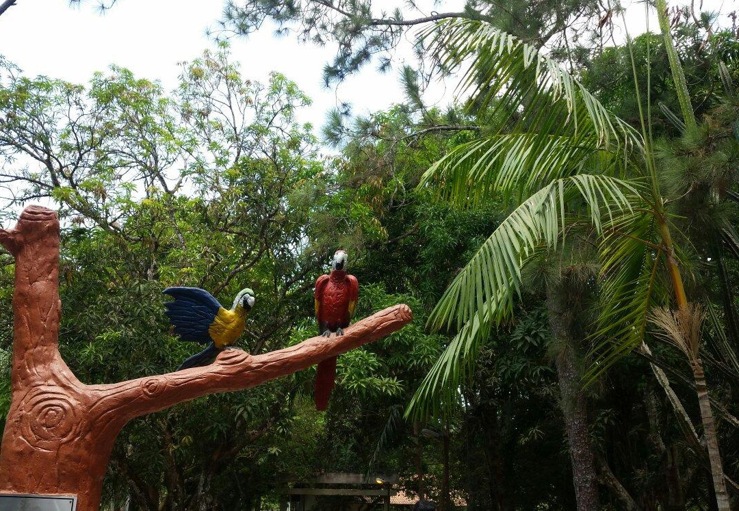 Parque Ambiental Municipal Adhemar Monteiro-Paragominas必去景点