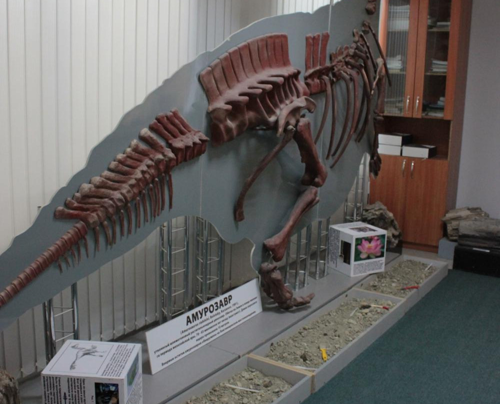 Paleontologic Museum景点图片