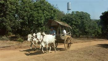 Thai Travel Dreams - Day Tours景点图片