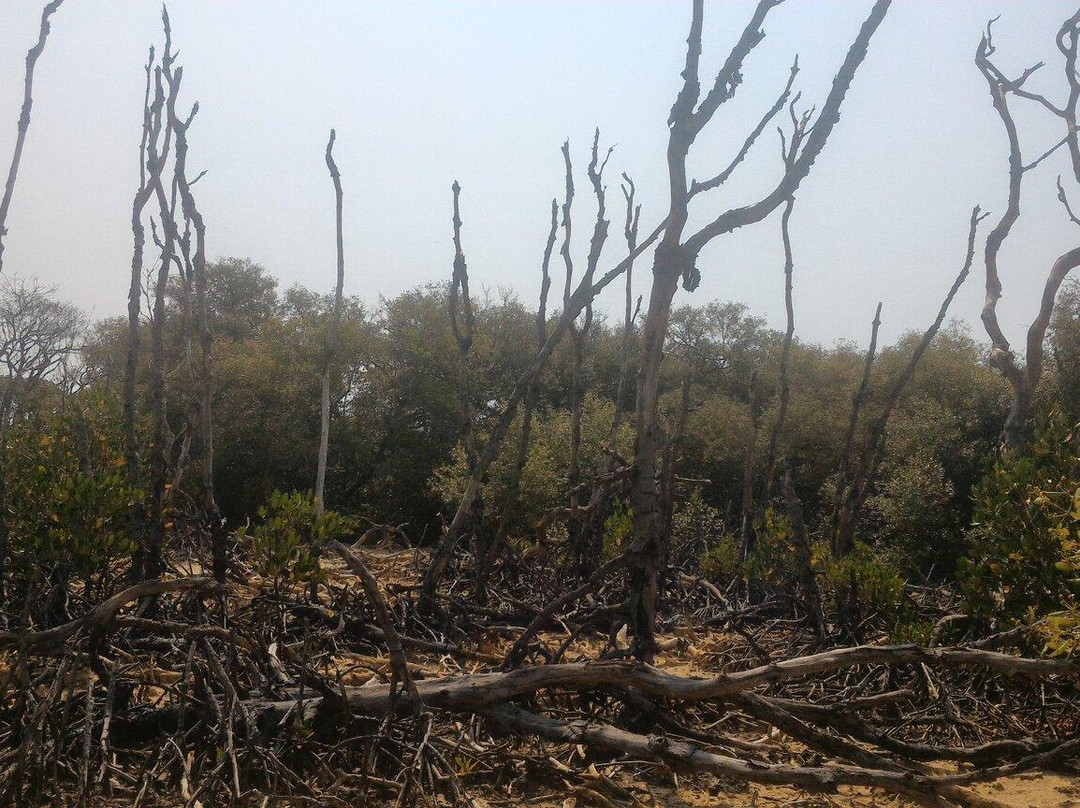 Pulau Dua Nature Reserve-西冷必去景点