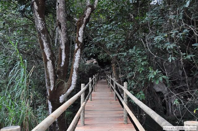 Parque Estadual da Lapa Grande景点图片