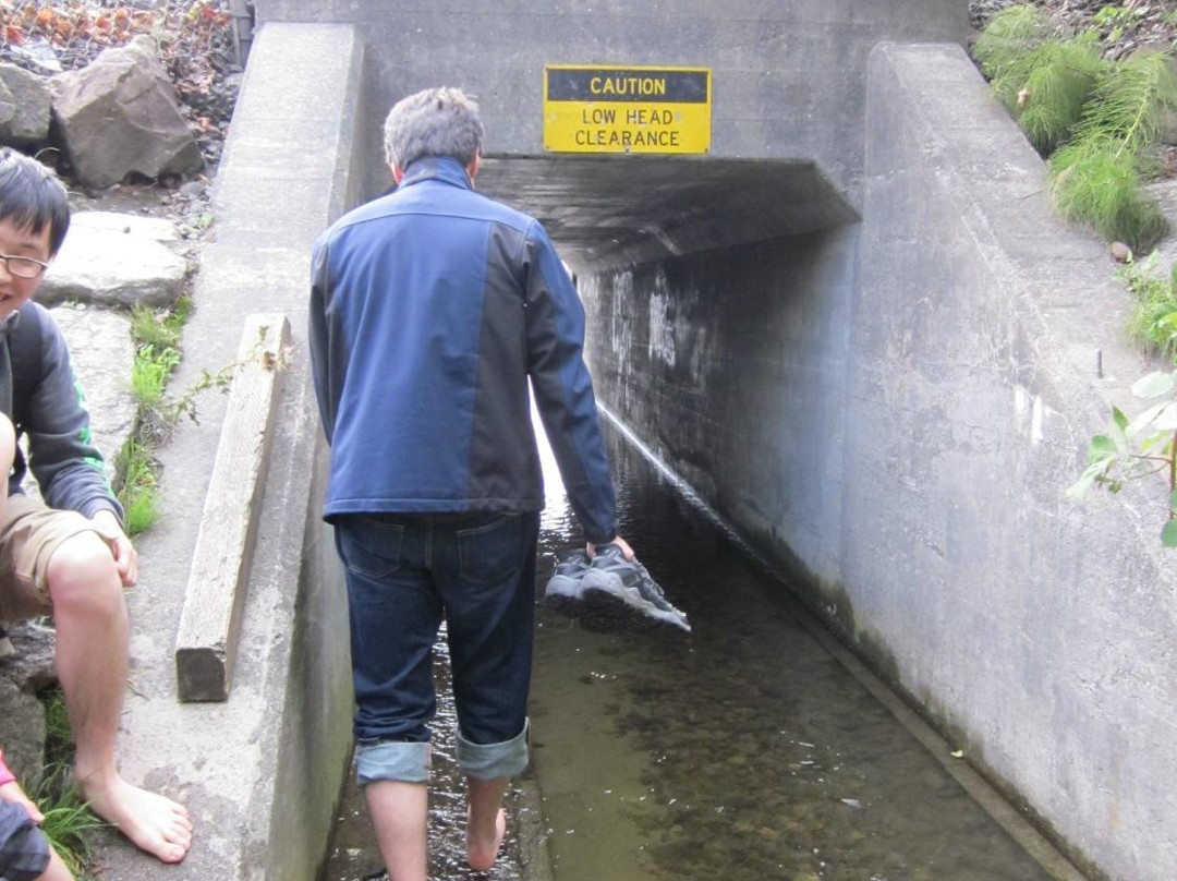Meadowdale Beach Park-埃德蒙兹必去景点