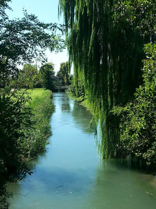 Cervignano del Friuli旅游攻略图片