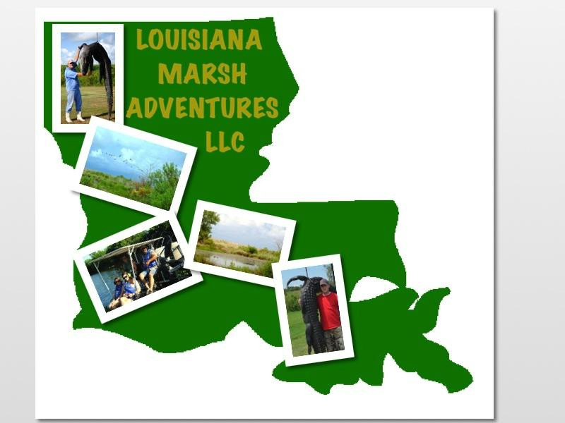 Louisiana Marsh Adventures景点图片
