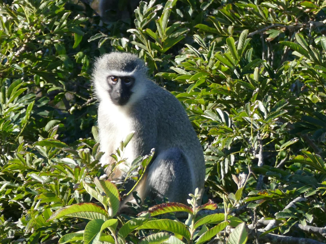 Hluleka Nature Reserve-姆莎莎必去景点