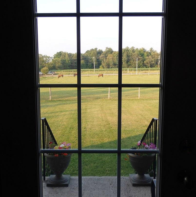 Hackney Horse B&B主图