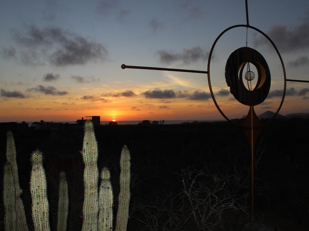 Art and Beer-佩斯卡德罗必去景点