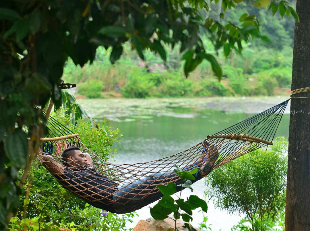 Mezzma - The Shack主图