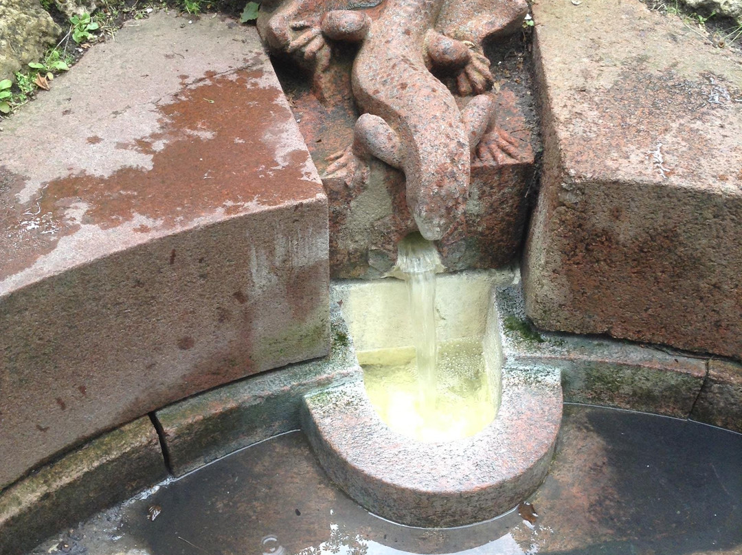 Sulphur Water Spring Lizzard-尤尔马拉必去景点