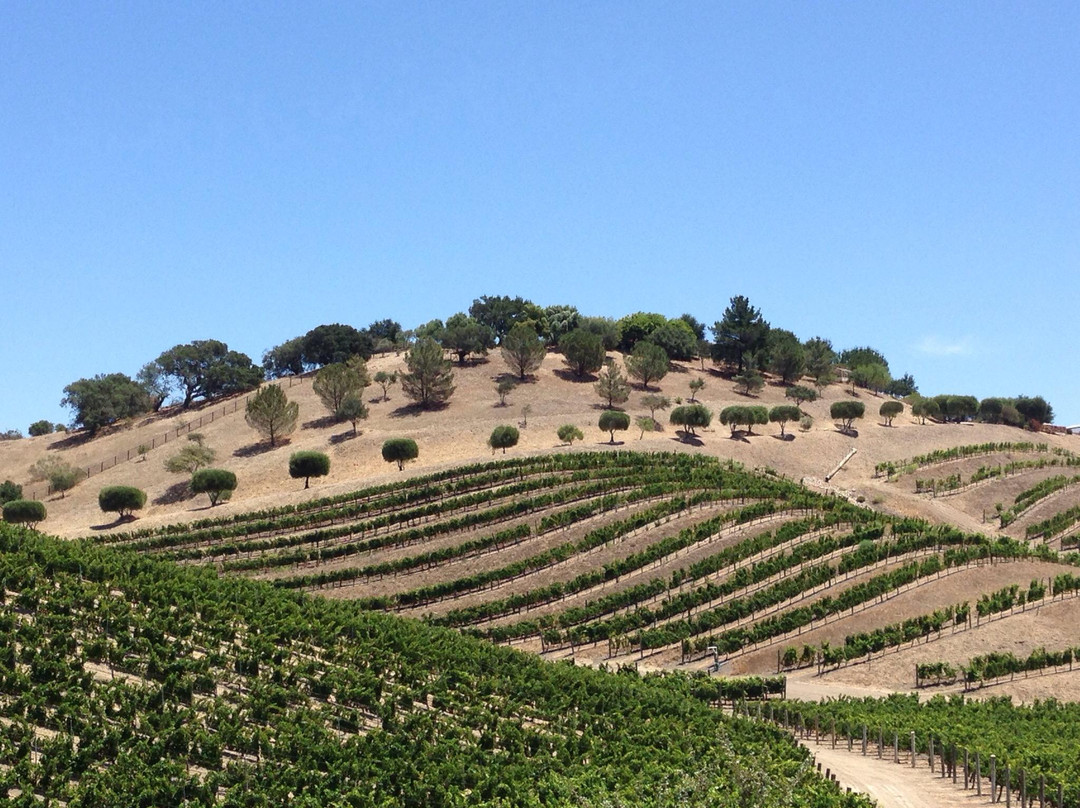 Dr. J's Bicycle Shop-索尔万必去景点