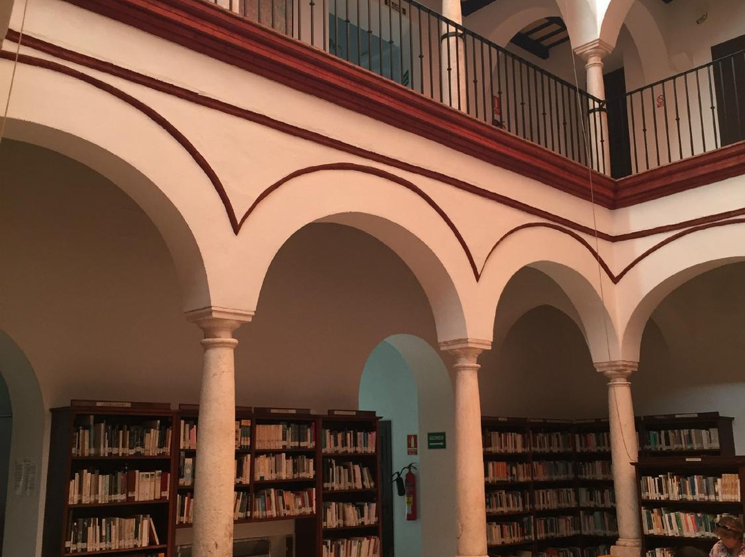 Palacio de los Pareja景点图片
