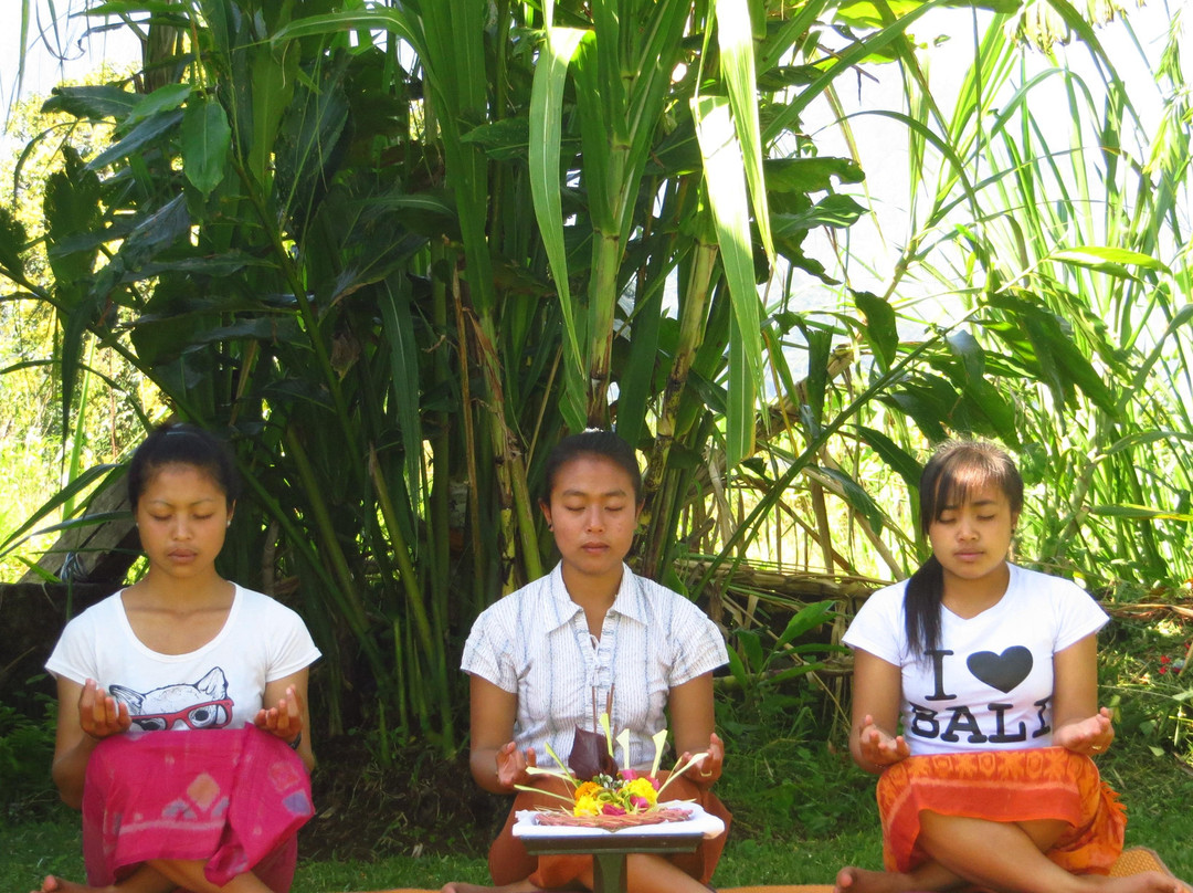 Bali Body Soul Spiritual景点图片