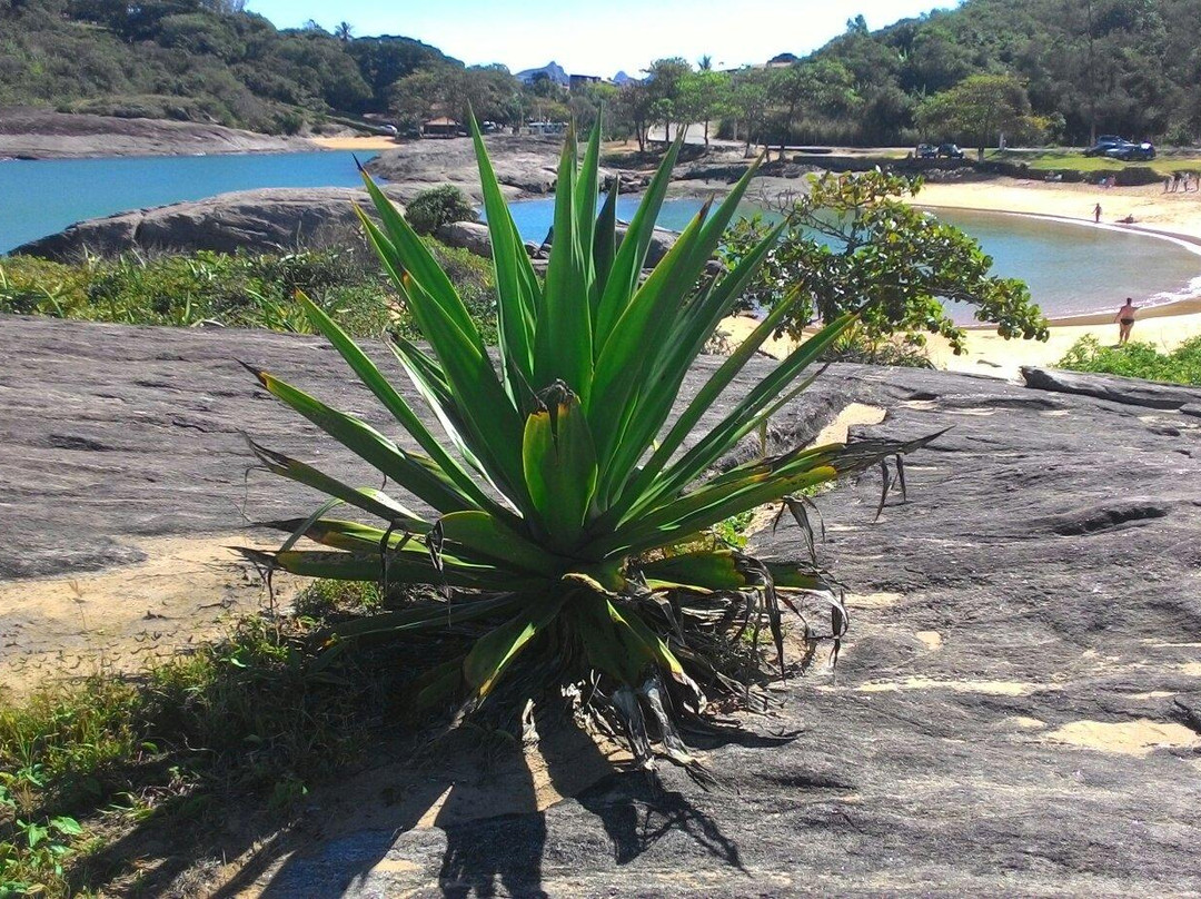 Praia de Setiba景点图片