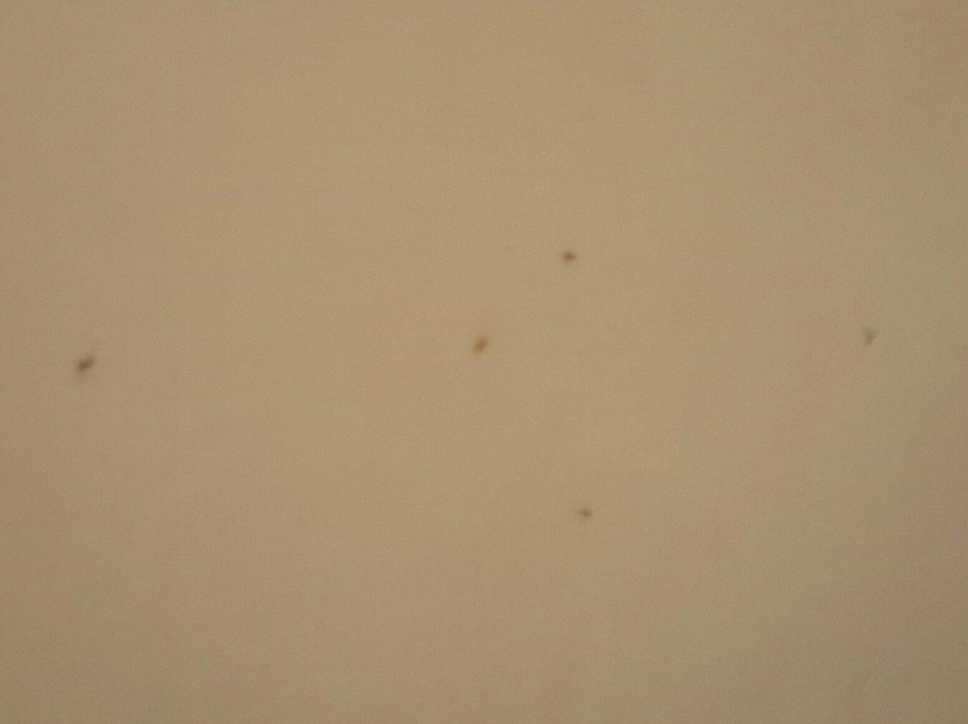 Hotel Mani Iyer主图