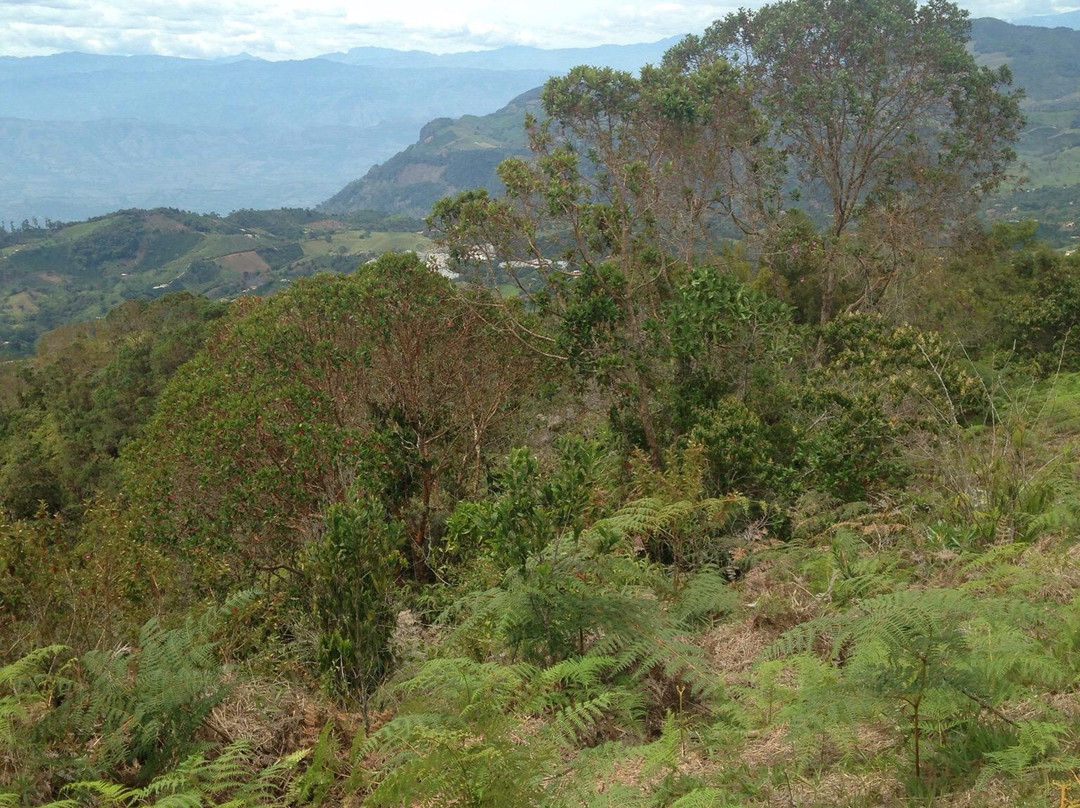Cerro Las Nubes-Jerico必去景点
