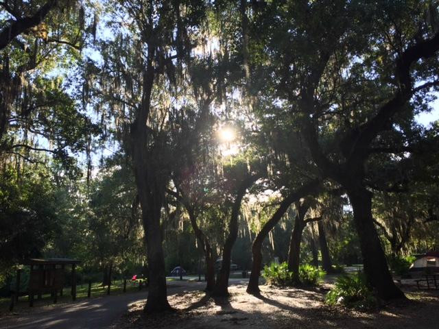 Brownville Park-阿卡迪亚必去景点