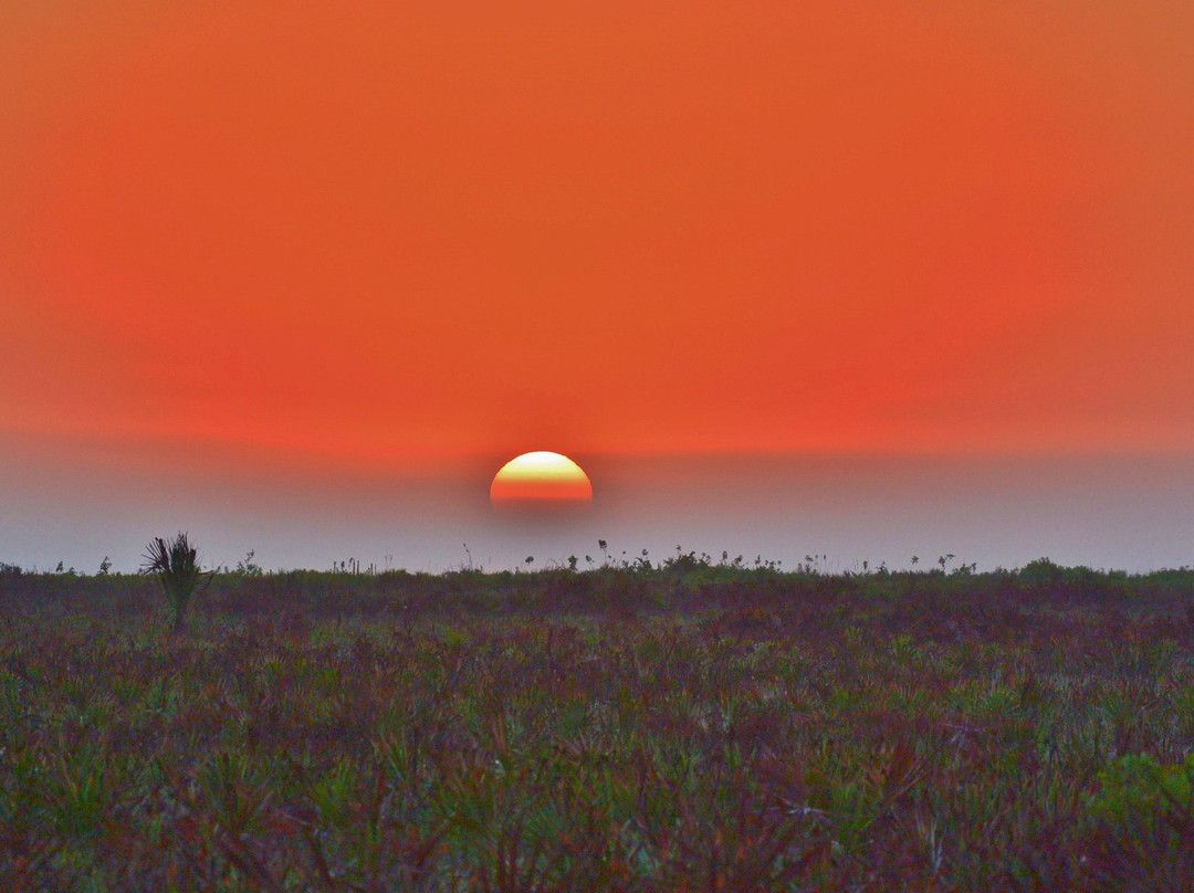 Kissimmee Prairie Preserve State Park-奥基乔比必去景点