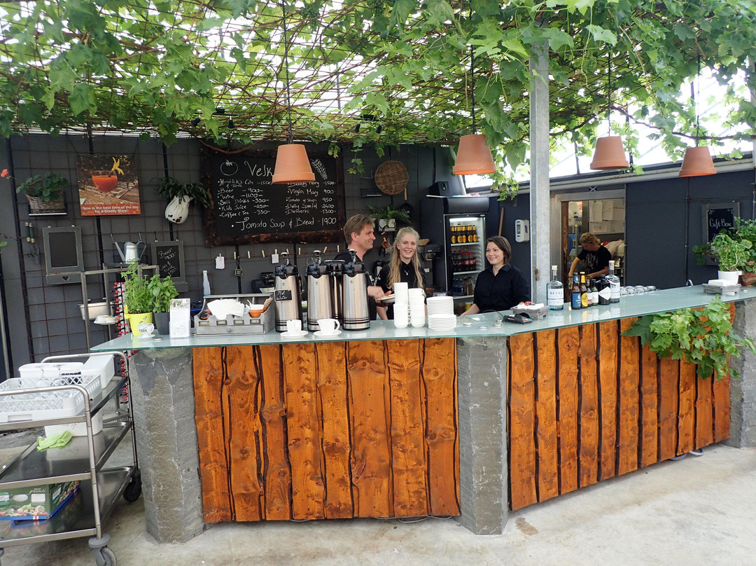 Fridheimar-Reykholt必去景点