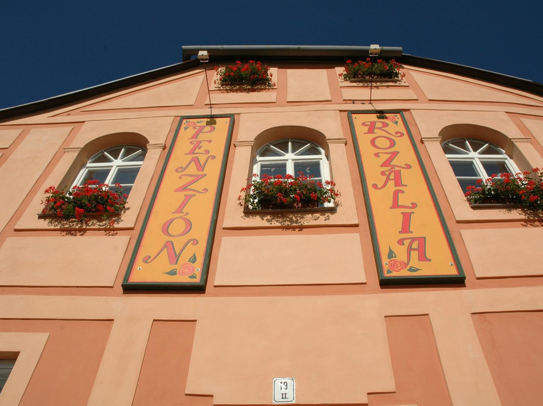 Penzion Rozalia主图