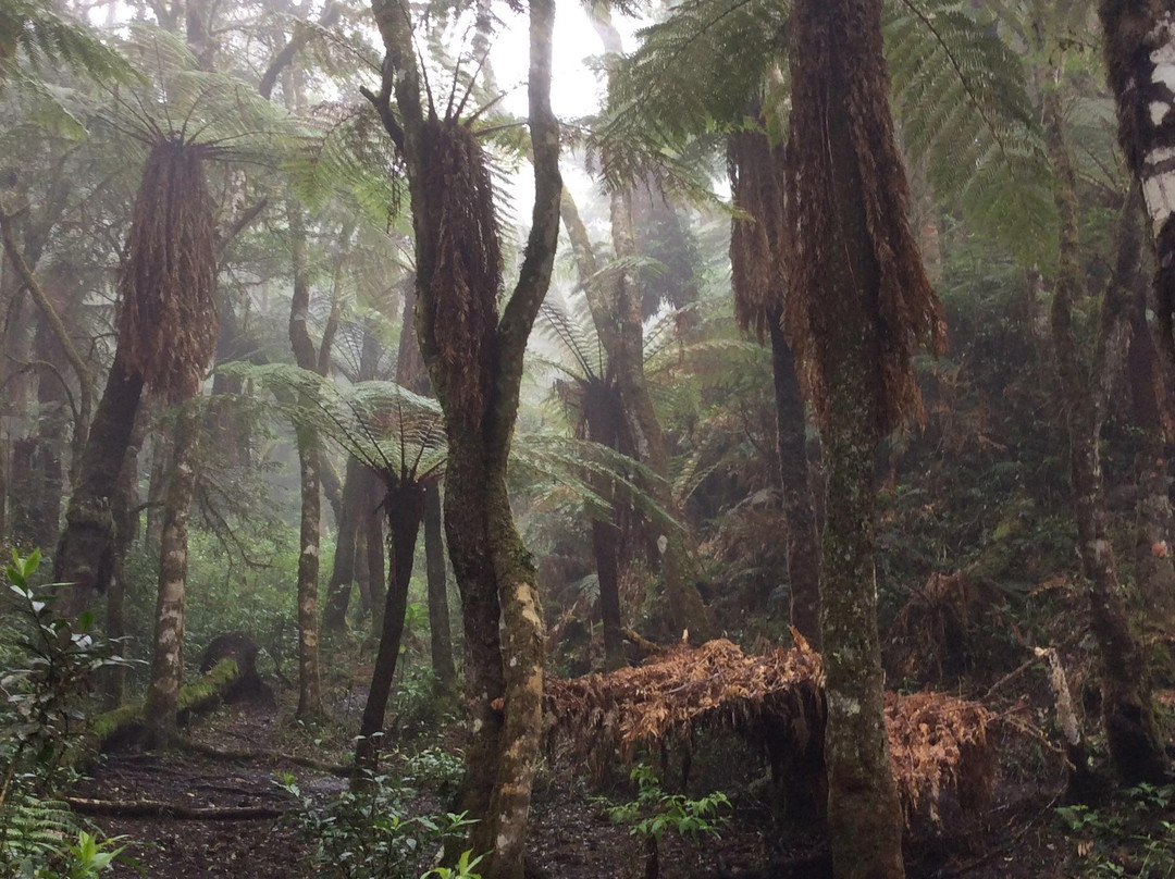 Jukumari Tours - Day Tours-Samaipata必去景点