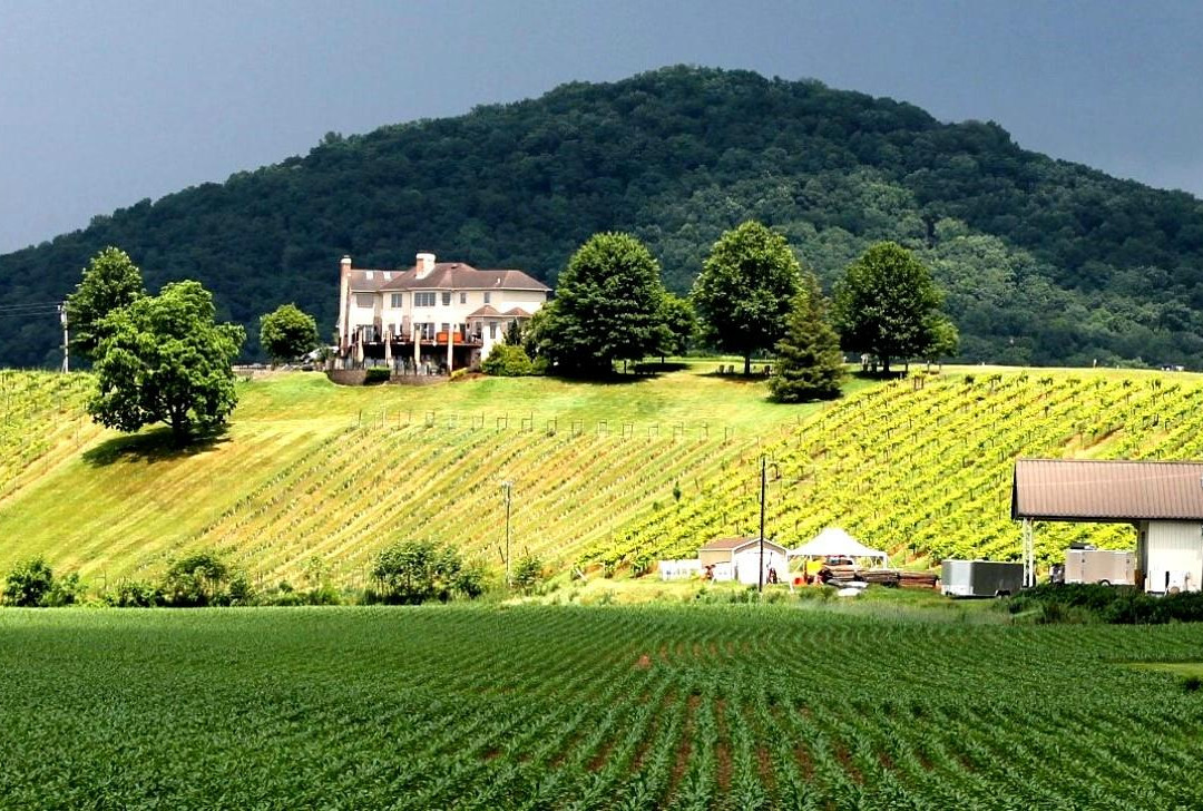 Bluestone Vineyard-Bridgewater必去景点