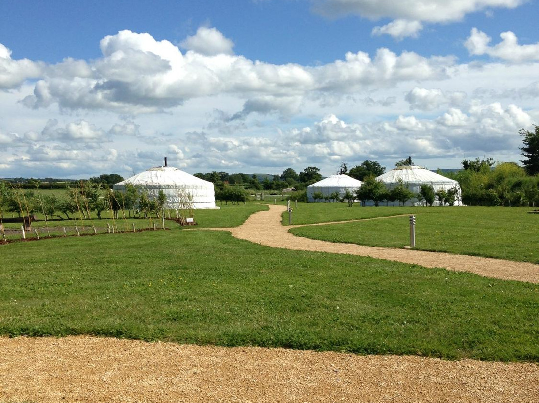 Caalm Camp