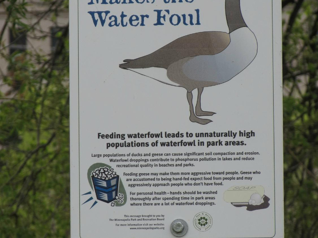 Loring Park-明尼阿波利斯必去景点