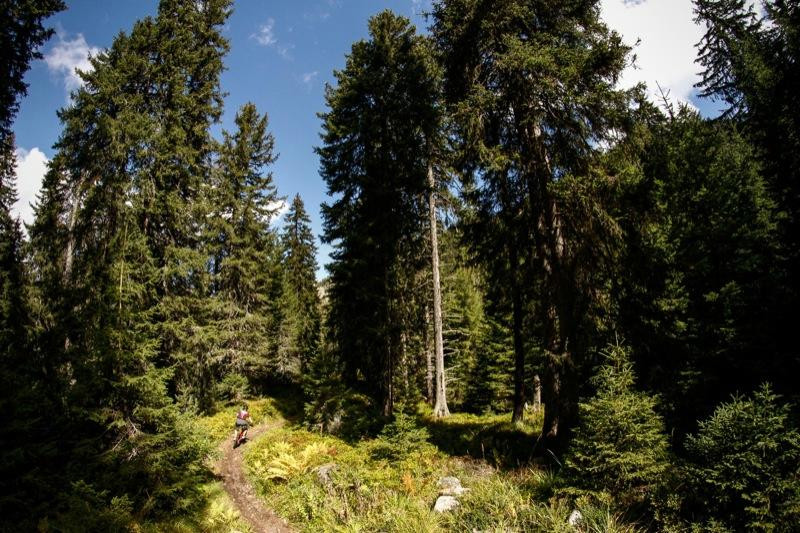 Borovets Mountain Bike Park-波罗维兹必去景点