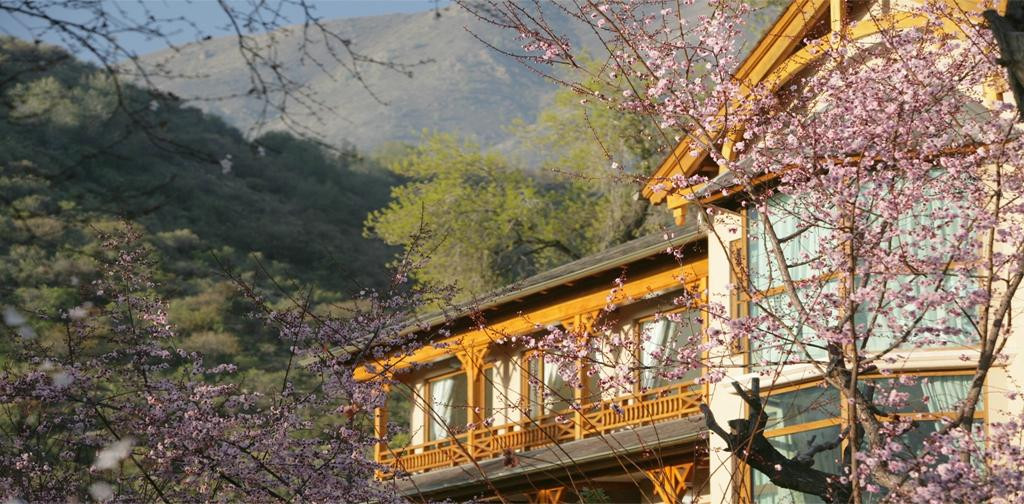 San Felipe酒店住宿-Termas de Jahuel Hotel & Spa