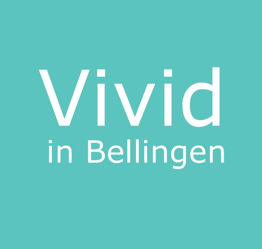 Vivid in Bellingen景点图片